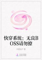촩ϵͳBOSS